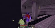Another image posted by OP, which documents his adventures through The End (Image via u/Delicious_Bus_674 on Reddit)